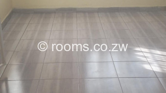  Room  in Adelaide Park