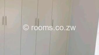  Room  in Avondale