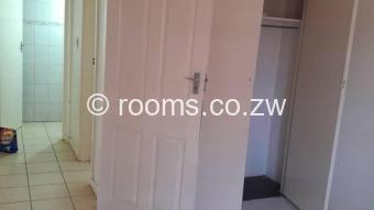  Room  in Avondale West