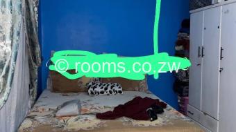  Room  in Madokero Estates